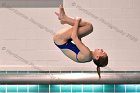 Maddy Morrison  Wheaton College Women's diver Maddy Morrison competes against Babson College, January 11, 2020. - Photo By: KEITH NORDSTROM : Wheaton, Swimming, Maddy Morrison